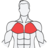 MuscleWiki 中文健身网Logo